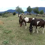 Archontiko Nikolopoulou 3*