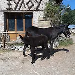 Archontiko Nikolopoulou Penzion