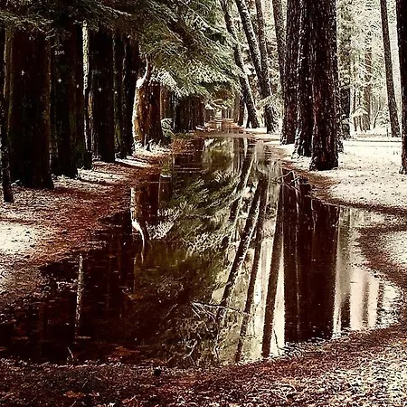 αρχοντικό νικολοπούλου 3* Βυτίνα