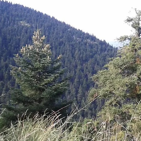 Archontiko Nikolopoulou Konukevi 3*