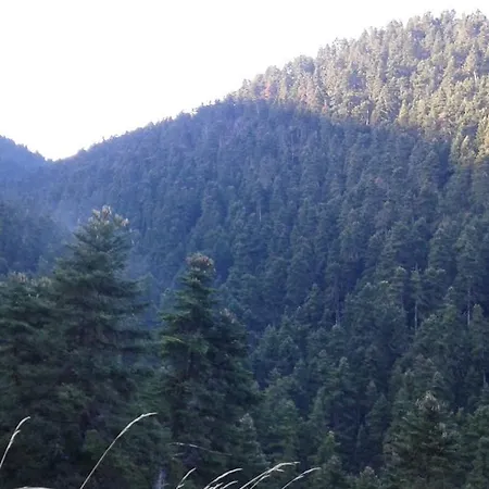 Πανσιόν αρχοντικό νικολοπούλου