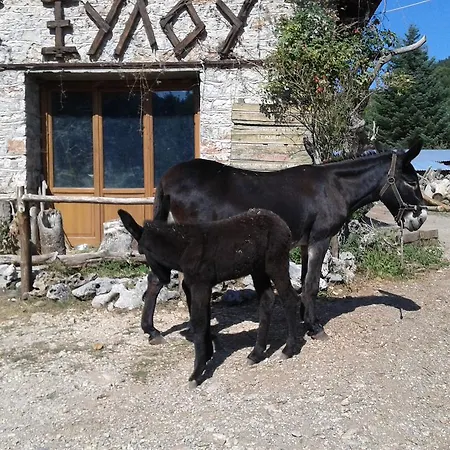 Archontiko Nikolopoulou Vendégház