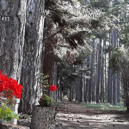 Konukevi Archontiko Nikolopoulou 3*