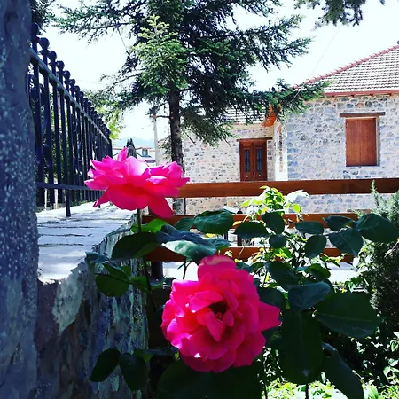 Archontiko Nikolopoulou Pensionat Vytina