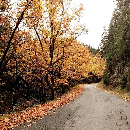 αρχοντικό νικολοπούλου Πανσιόν