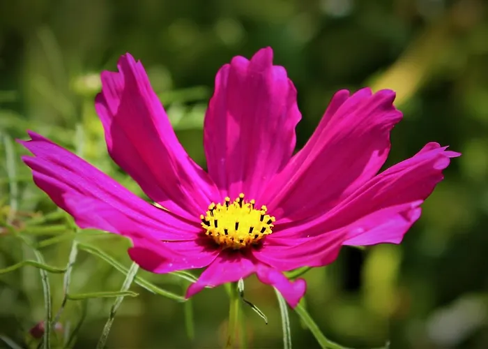 Archontiko Nikolopoulou Casa de hóspedes