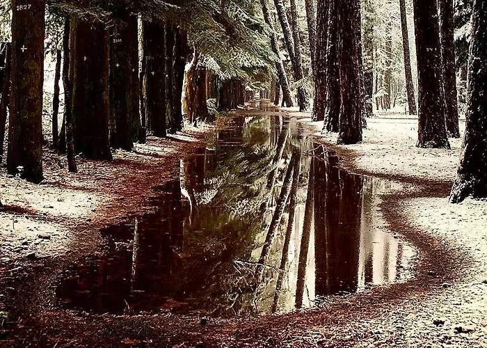 Archontiko Nikolopoulou 3* Vytina