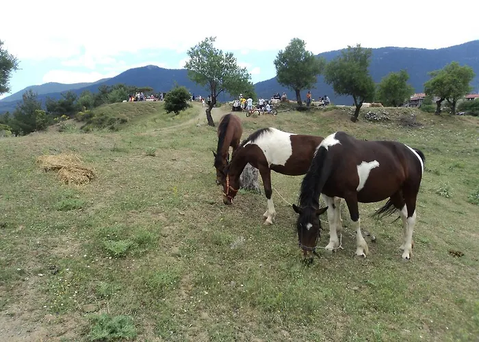 Archontiko Nikolopoulou 3*