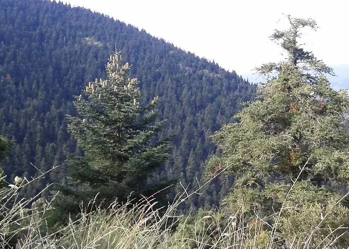 Archontiko Nikolopoulou Casa de hóspedes 3*