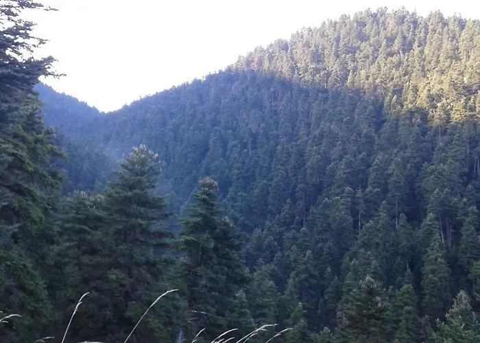 Casa de hóspedes Archontiko Nikolopoulou