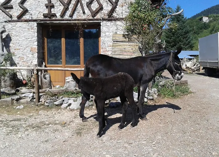 Archontiko Nikolopoulou Pensión