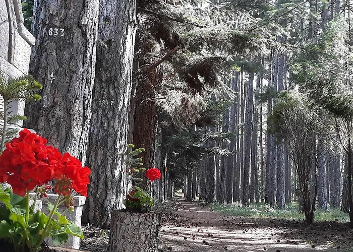Casa de hóspedes Archontiko Nikolopoulou 3*